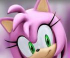 Amy Rose είναι ένα ροζ σκαντζόχοιρος με πράσινα μάτια, είναι τρελά ερωτευμένος με τους Sonic